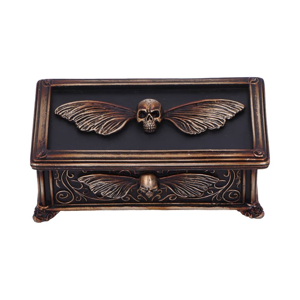 Death's Head Treasure Ornamental Box 14.5cm