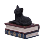 Salems Spells Witches Familiar Black Cat and Spellbook Box 11.7cm