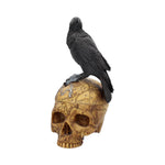 Salems Familiar Box Gothic Raven Skull Witch Pentagram Trinket 27cm