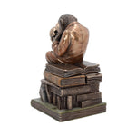 Darwinism of Evolutionary Theory Charles Darwin Chimpanzee Figurine 17.5cm