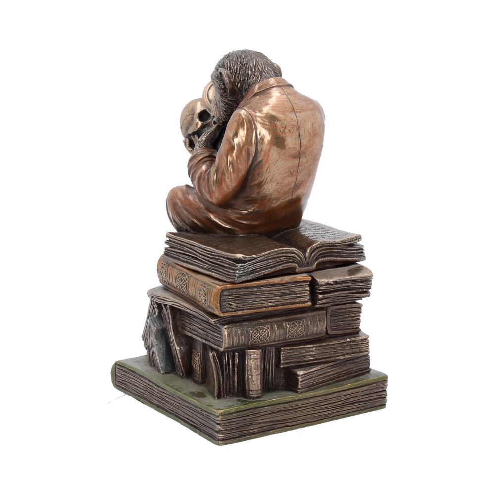 Darwinism of Evolutionary Theory Charles Darwin Chimpanzee Figurine 17.5cm