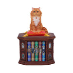 Mad About Cats Box by Lisa Parker 16.5cm