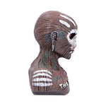 Officially Licensed Iron Maiden Book of Souls Eddie Bust Box 26cm