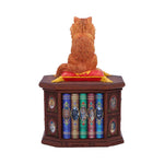 Mad About Cats Box by Lisa Parker 16.5cm