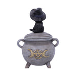 Kitty's Brew Witch Cat Cauldron Box 14cm