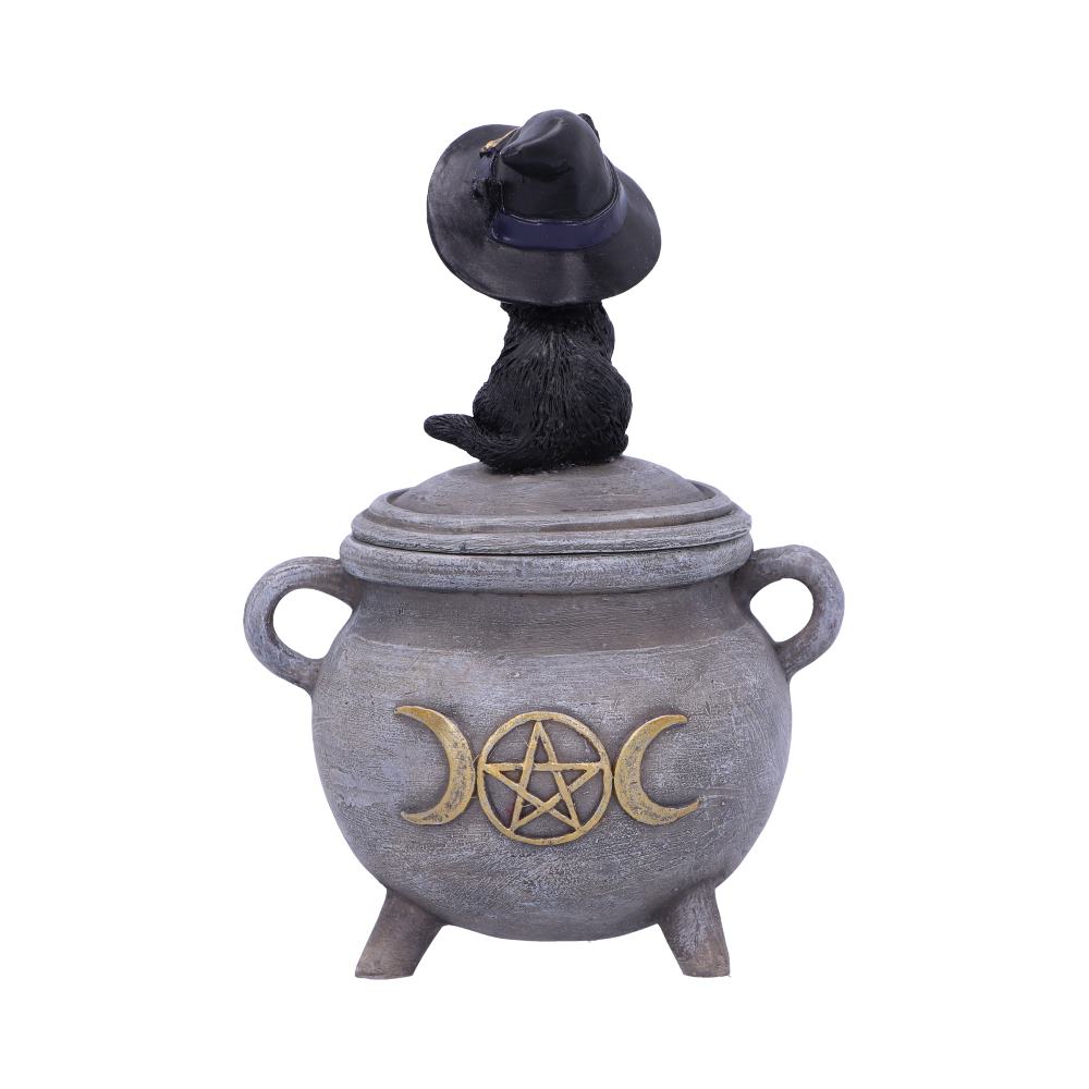 Kitty's Brew Witch Cat Cauldron Box 14cm