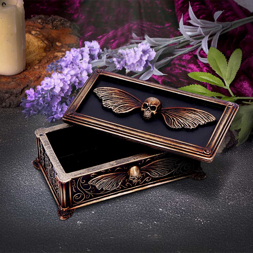 Death's Head Treasure Ornamental Box 14.5cm