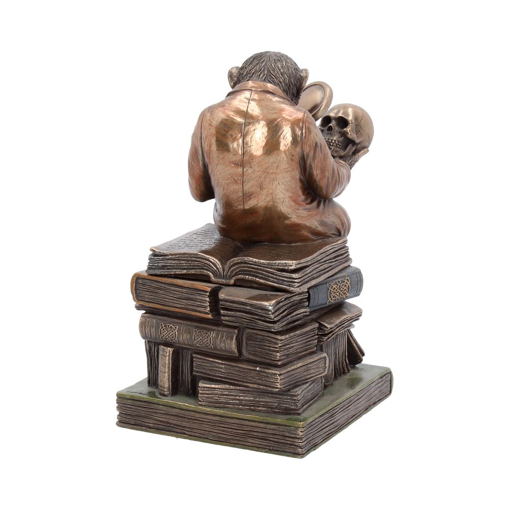 Darwinism of Evolutionary Theory Charles Darwin Chimpanzee Figurine 17.5cm