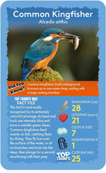 Top Trumps Birds of The World Classics Card Game