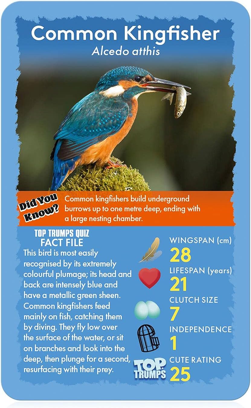 Top Trumps Birds of The World Classics Card Game