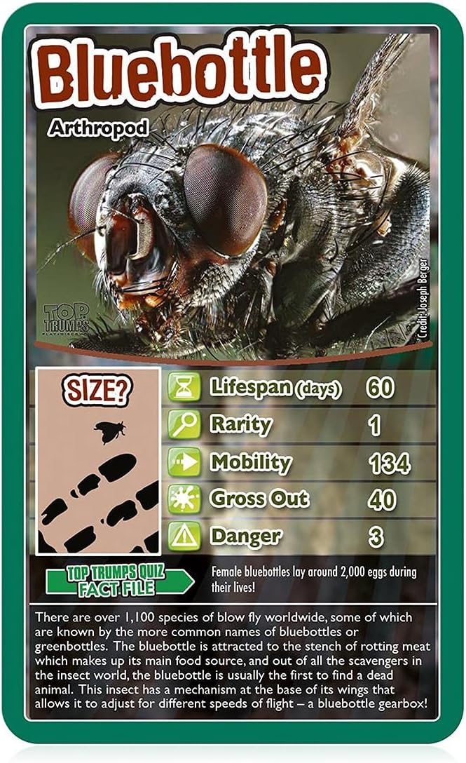 Top Trumps Bugs Classics Card Game