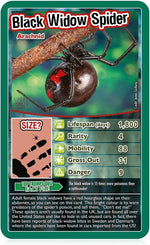 Top Trumps Bugs Classics Card Game
