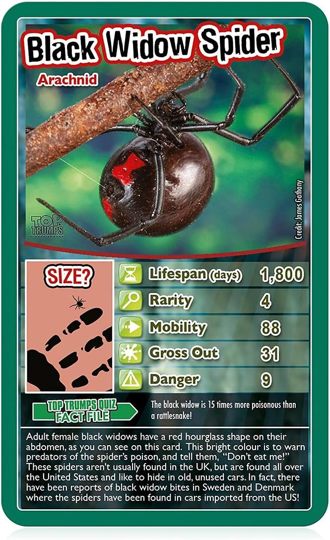 Top Trumps Bugs Classics Card Game