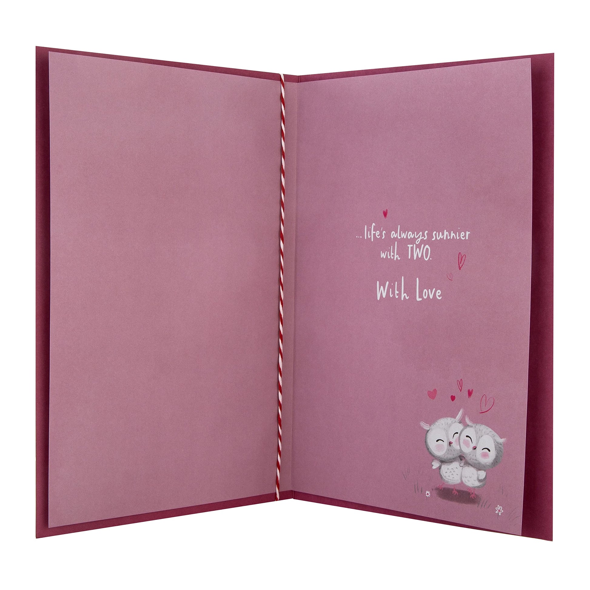Hallmark Anniversary Card - Cute Illustrated Owl Design with Verse