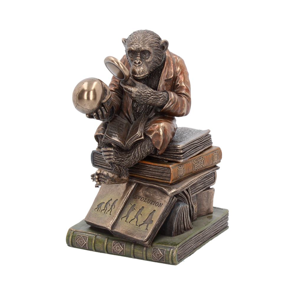 Darwinism of Evolutionary Theory Charles Darwin Chimpanzee Figurine 17.5cm