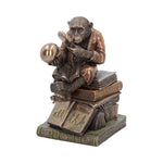 Darwinism of Evolutionary Theory Charles Darwin Chimpanzee Figurine 17.5cm
