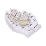 Palmist's Guide White Chiromancy Hands Candle Holder 22.3cm