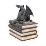 Secrets of the Dragon Box Gothic Skull Books Trinket 19cm