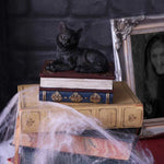 Salems Spells Witches Familiar Black Cat and Spellbook Box 11.7cm