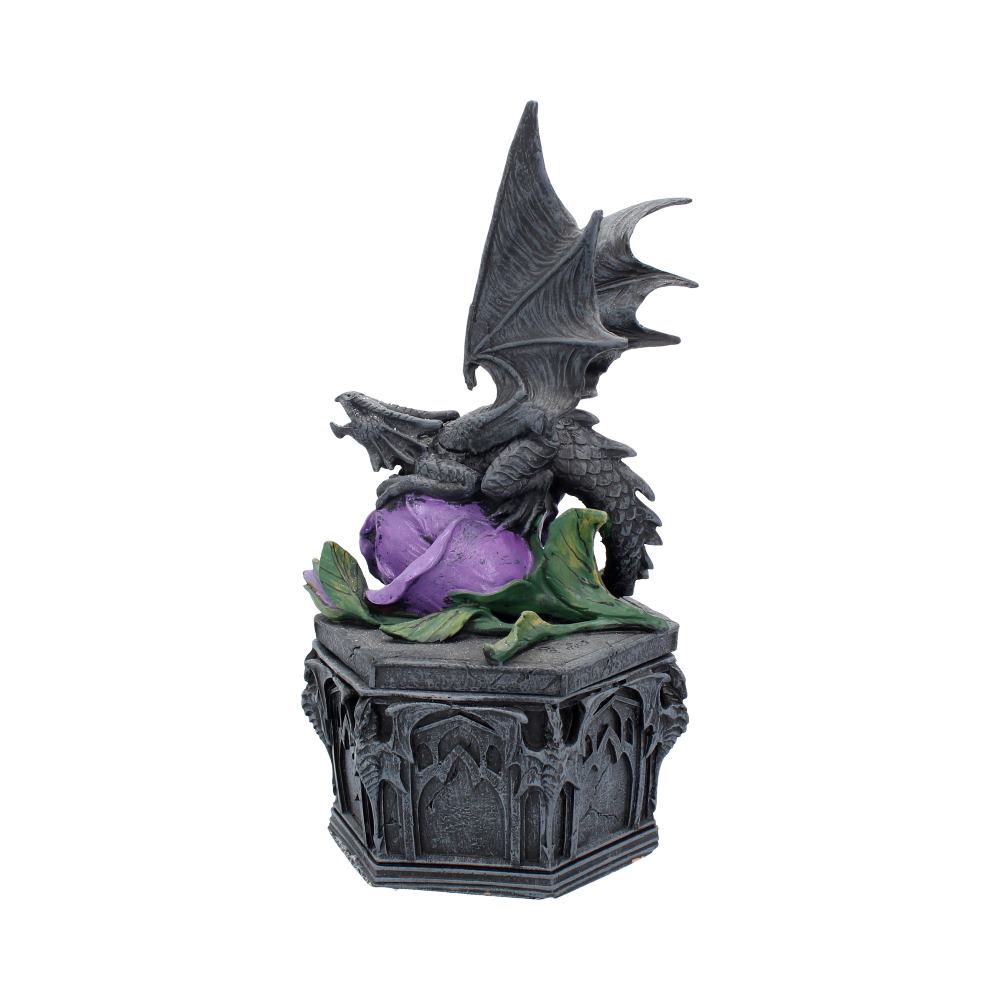 Anne Stokes Dragon Beauty Valentine Box 25cm