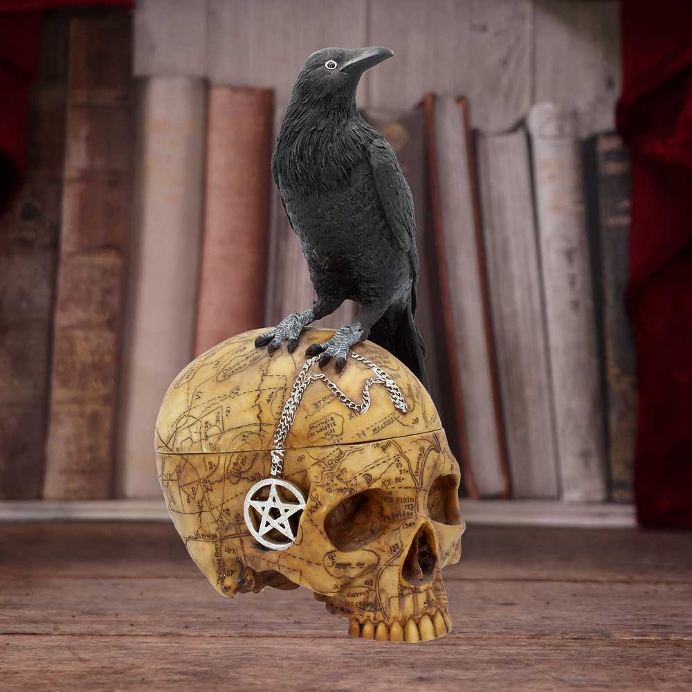 Salems Familiar Box Gothic Raven Skull Witch Pentagram Trinket 27cm
