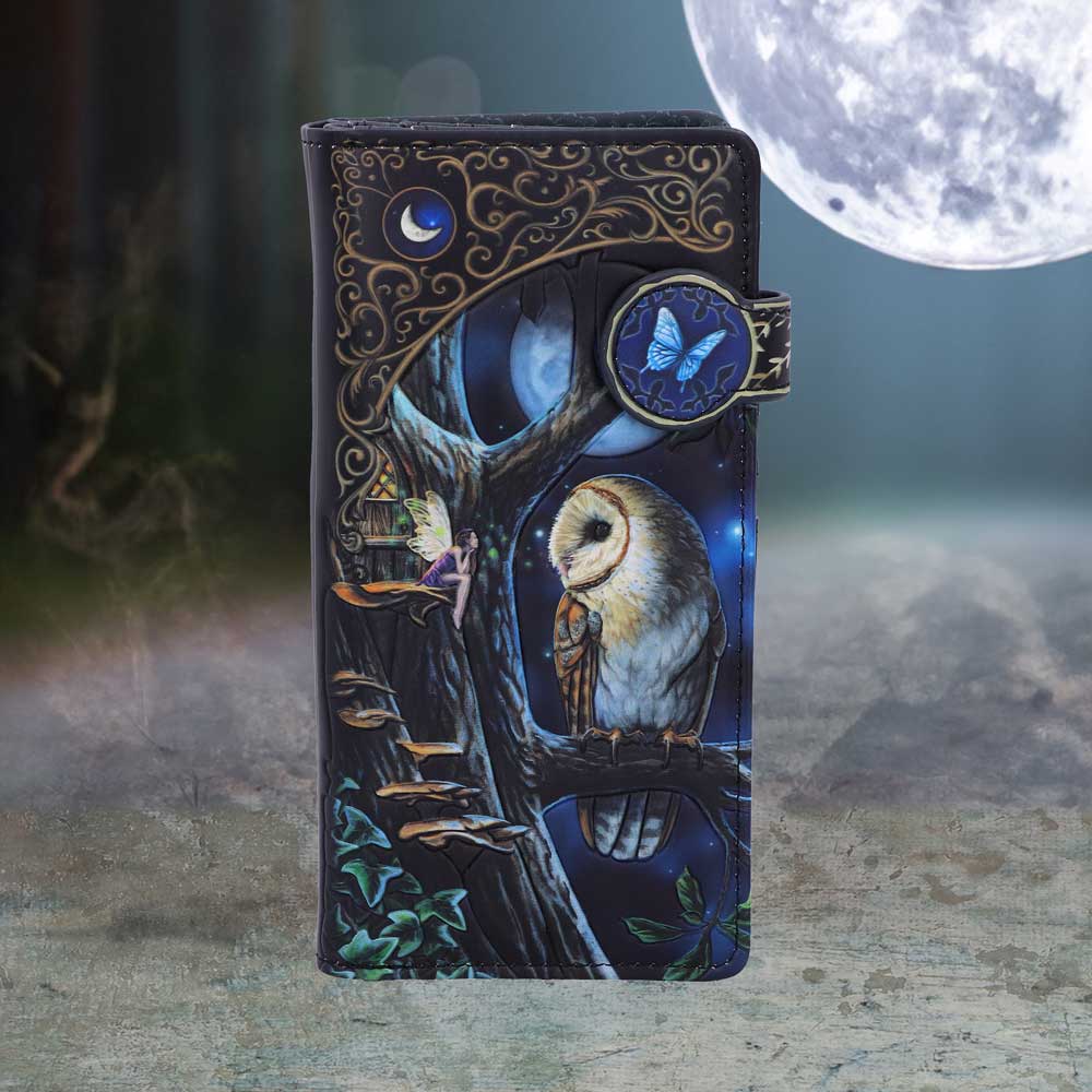 Lisa Parker Fairy and Owl Purse 18.5cm