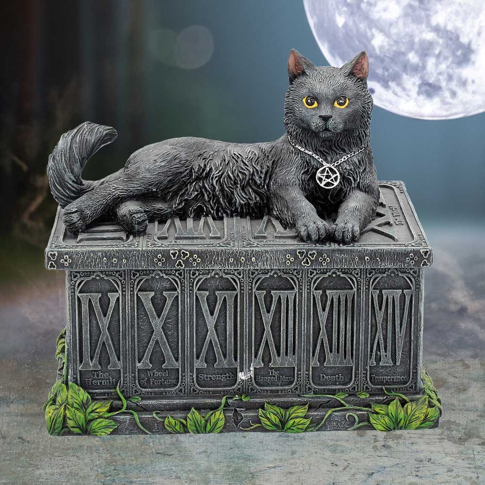 Fortune's Watcher Cat Familiar Tarot Box 17cm