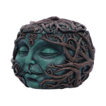 Tree Spirit Head Treasure Box 13cm