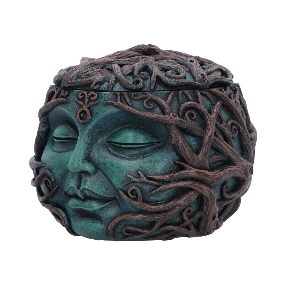 Tree Spirit Head Treasure Box 13cm