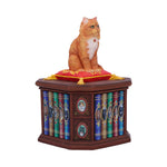 Mad About Cats Box by Lisa Parker 16.5cm