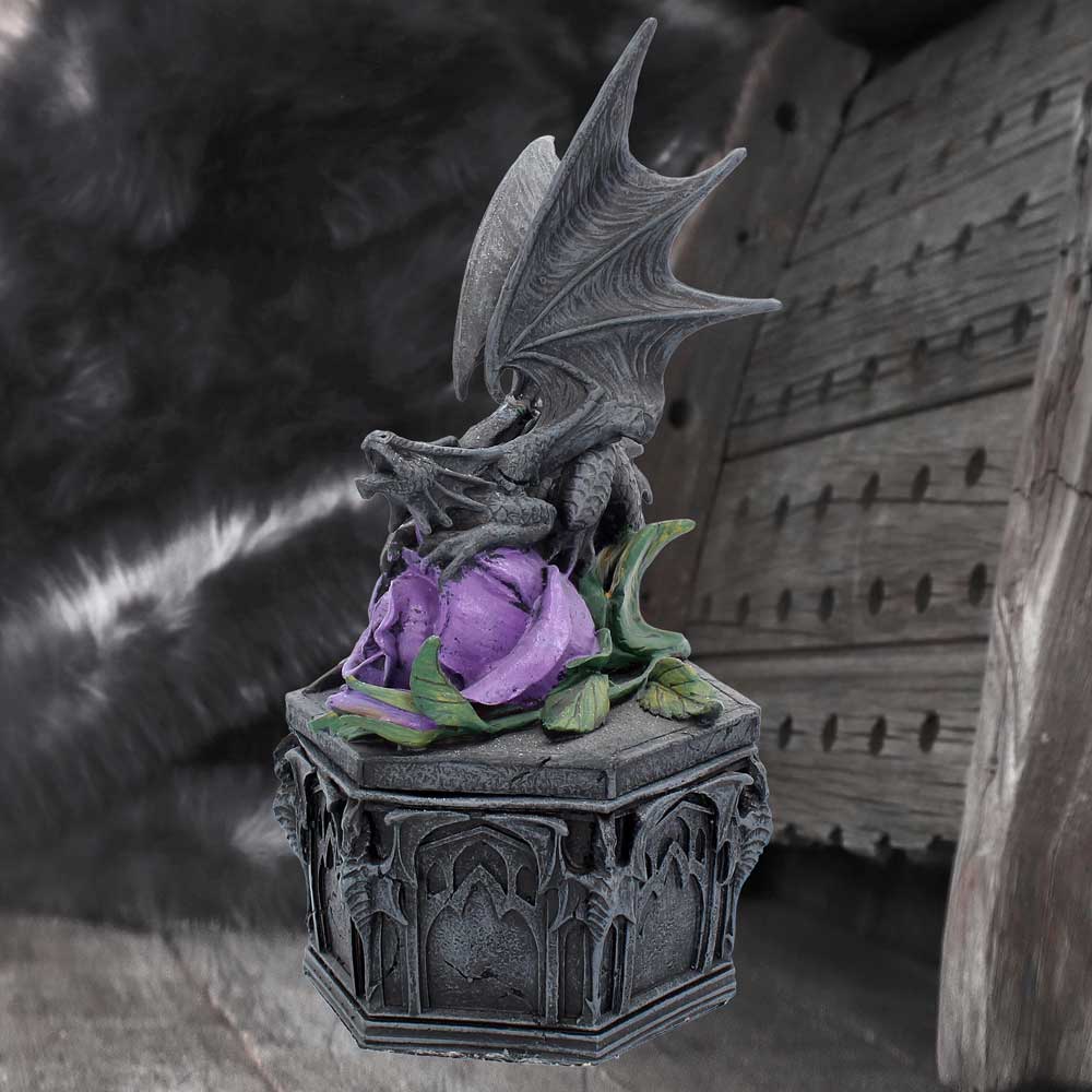 Anne Stokes Dragon Beauty Valentine Box 25cm