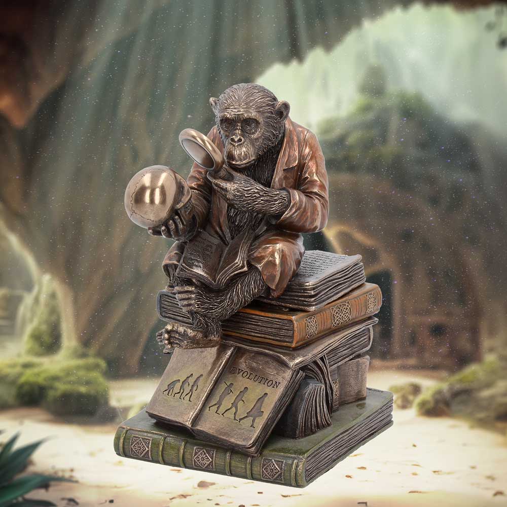 Darwinism of Evolutionary Theory Charles Darwin Chimpanzee Figurine 17.5cm