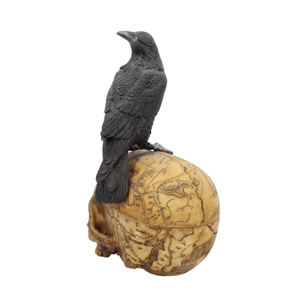Salems Familiar Box Gothic Raven Skull Witch Pentagram Trinket 27cm