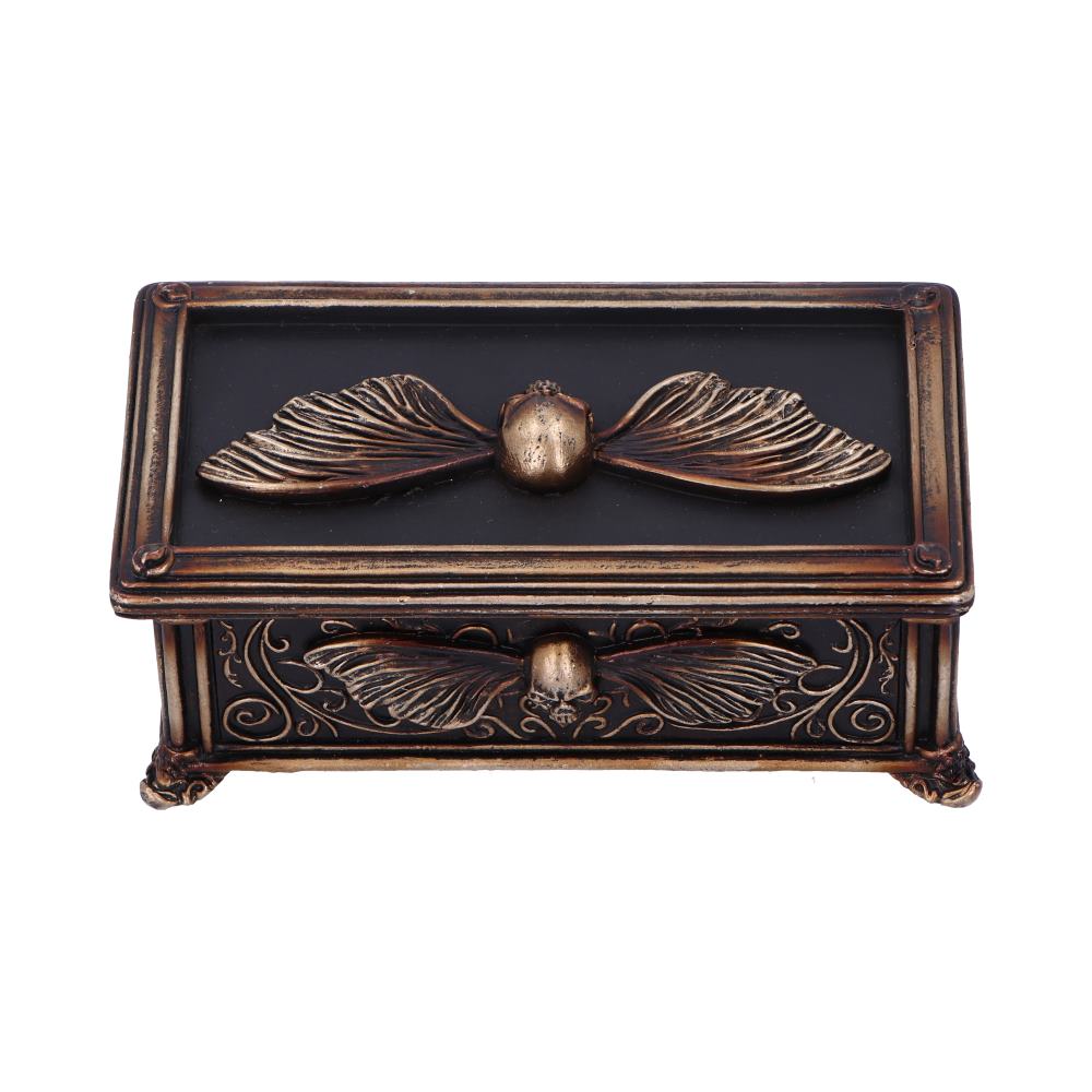 Death's Head Treasure Ornamental Box 14.5cm