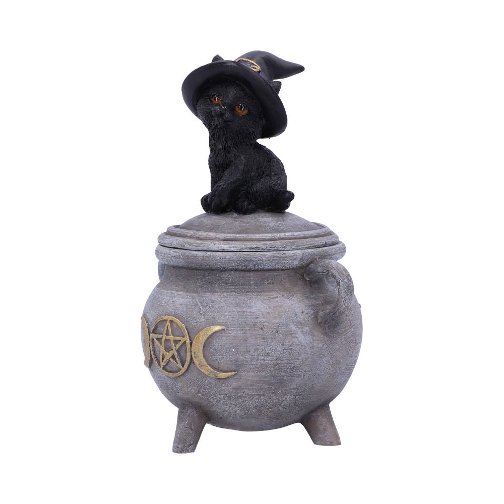 Kitty's Brew Witch Cat Cauldron Box 14cm
