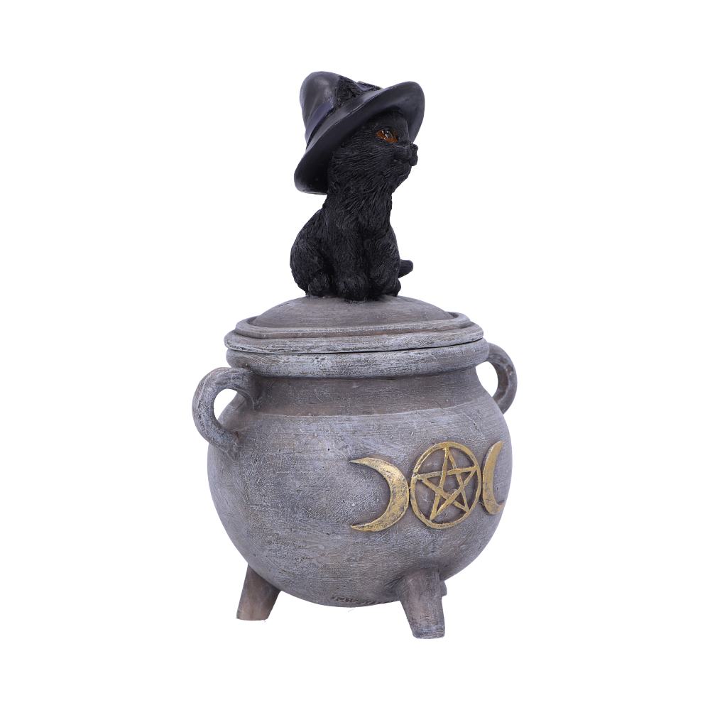 Kitty's Brew Witch Cat Cauldron Box 14cm