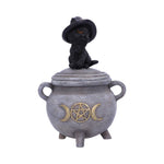 Kitty's Brew Witch Cat Cauldron Box 14cm