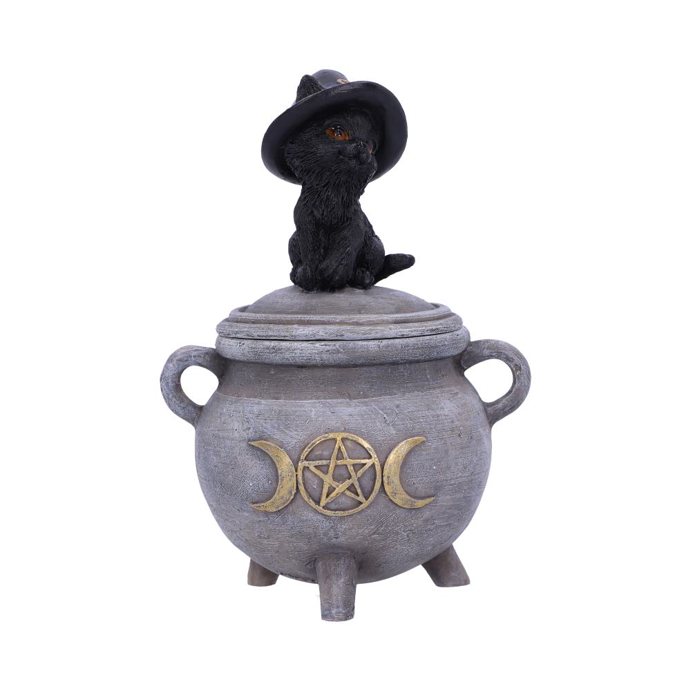 Kitty's Brew Witch Cat Cauldron Box 14cm